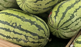 重庆吃瓜爆料是真的吗,真相还是谣言？